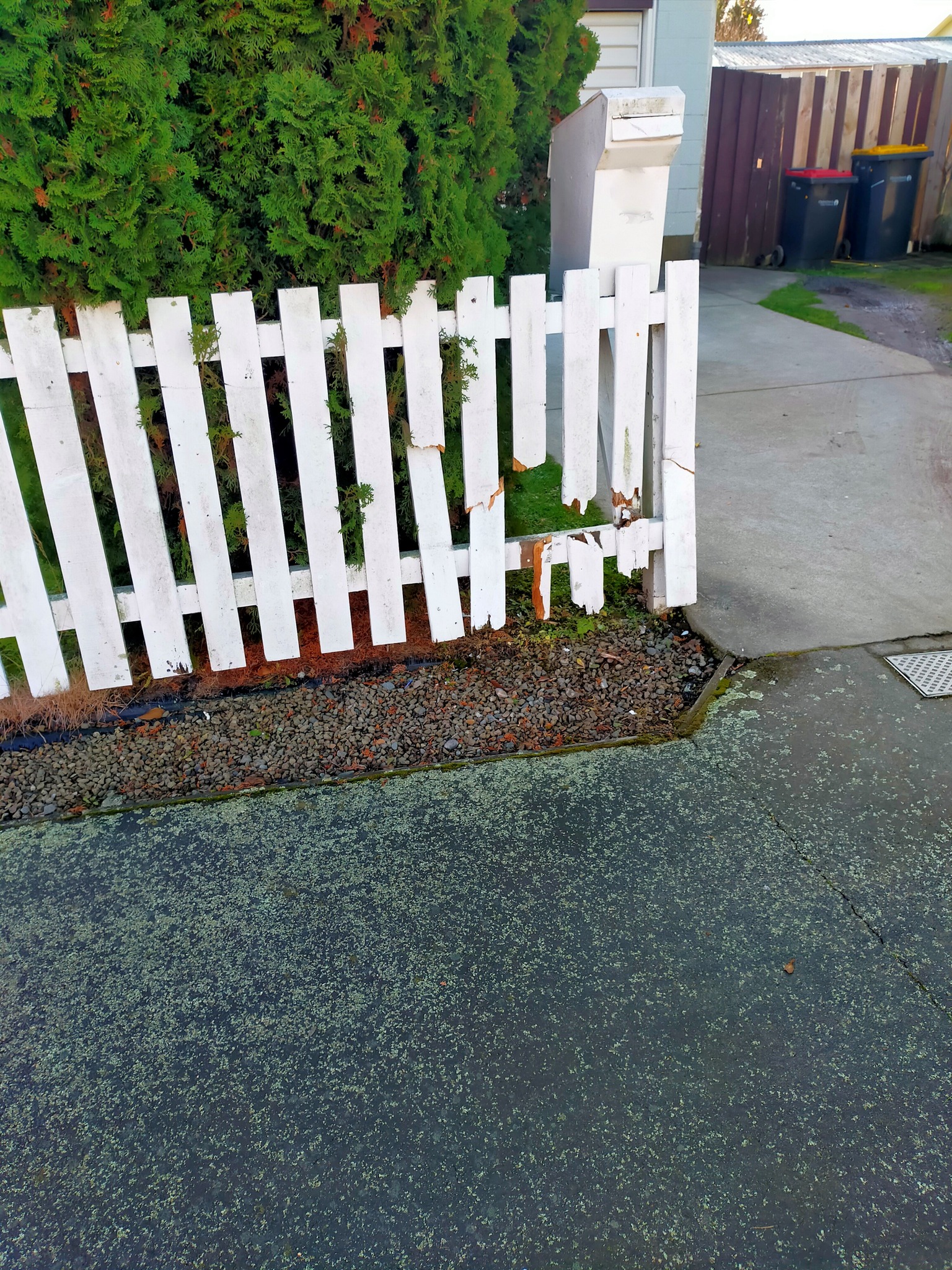 White picket fence: before