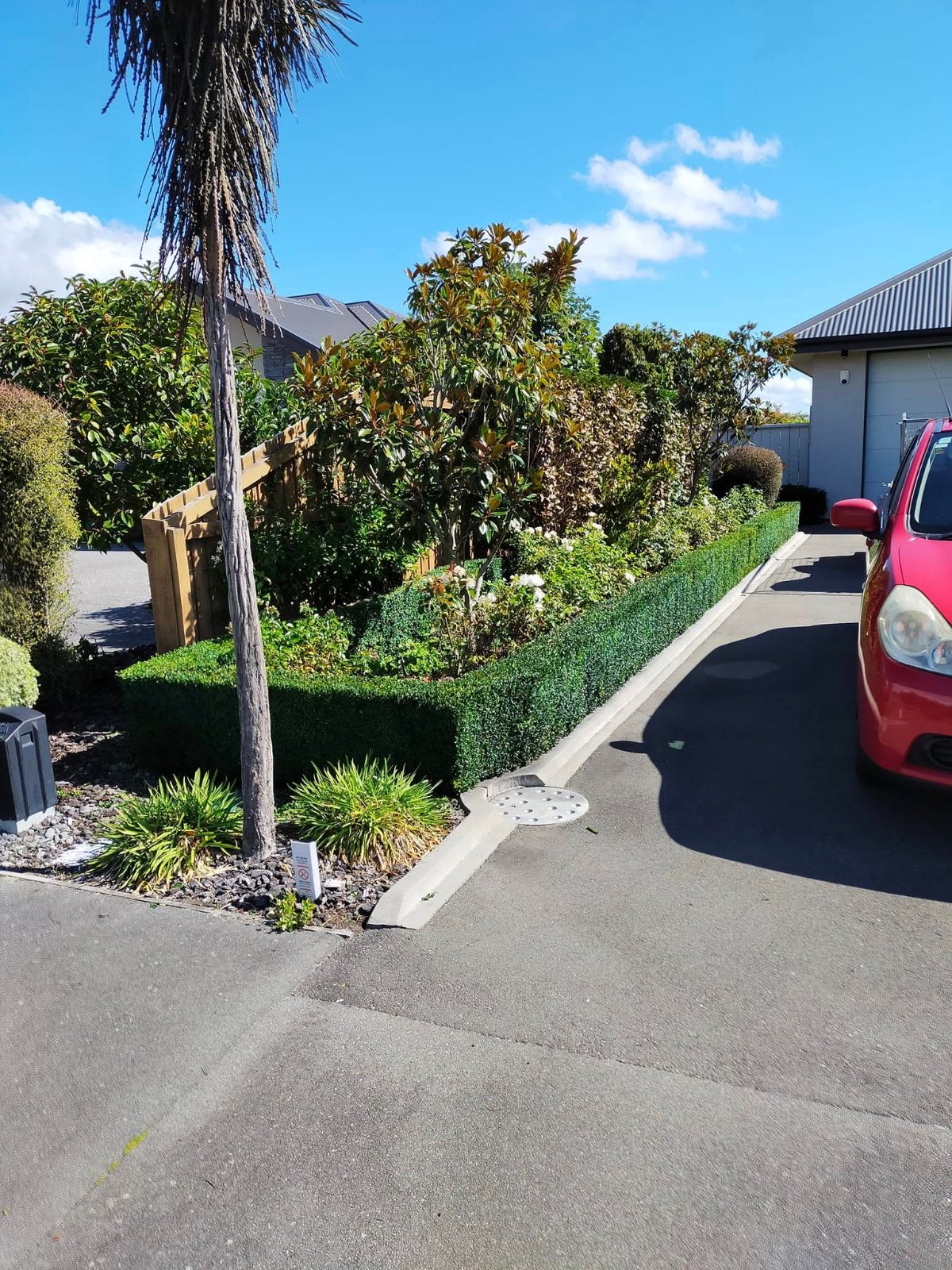 Low box hedge trimmed square along a driveway, Christchurch