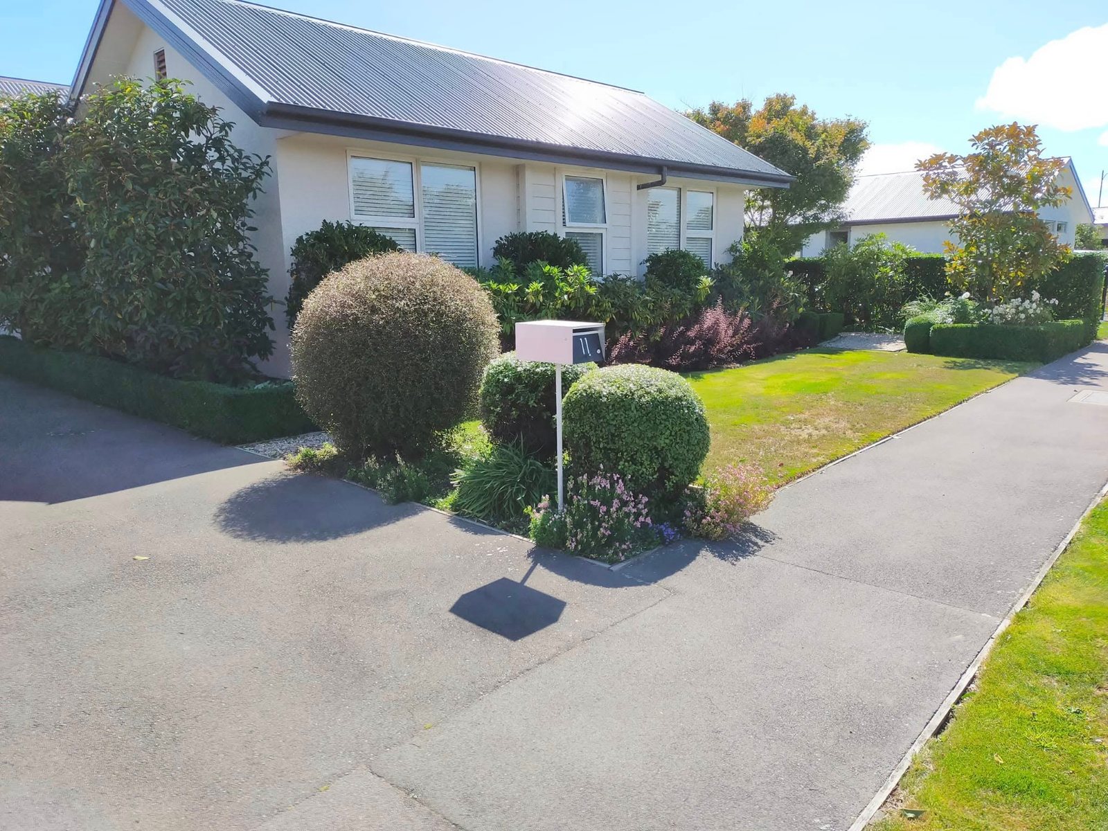 Front yard with shaped topiary balls and trimmed hedges, Christchurch